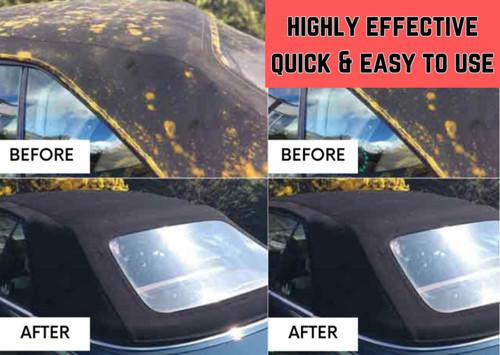Powerful convertible car - powerful, roof